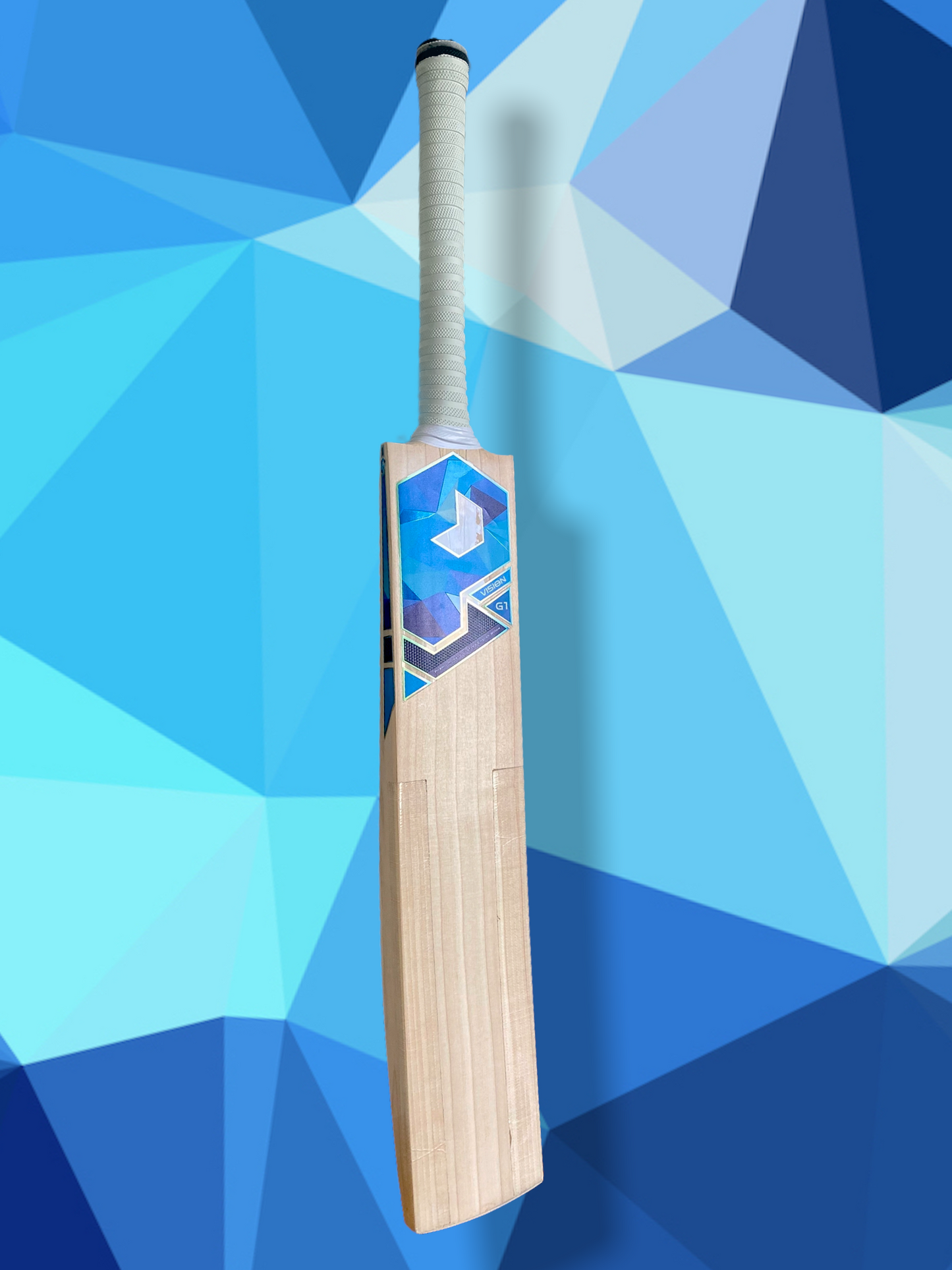 Prophecy Vision Cricket Bat