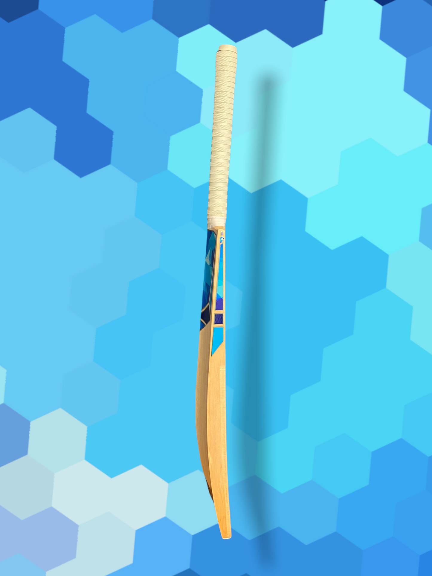 Junior Prophecy Vision Cricket Bat