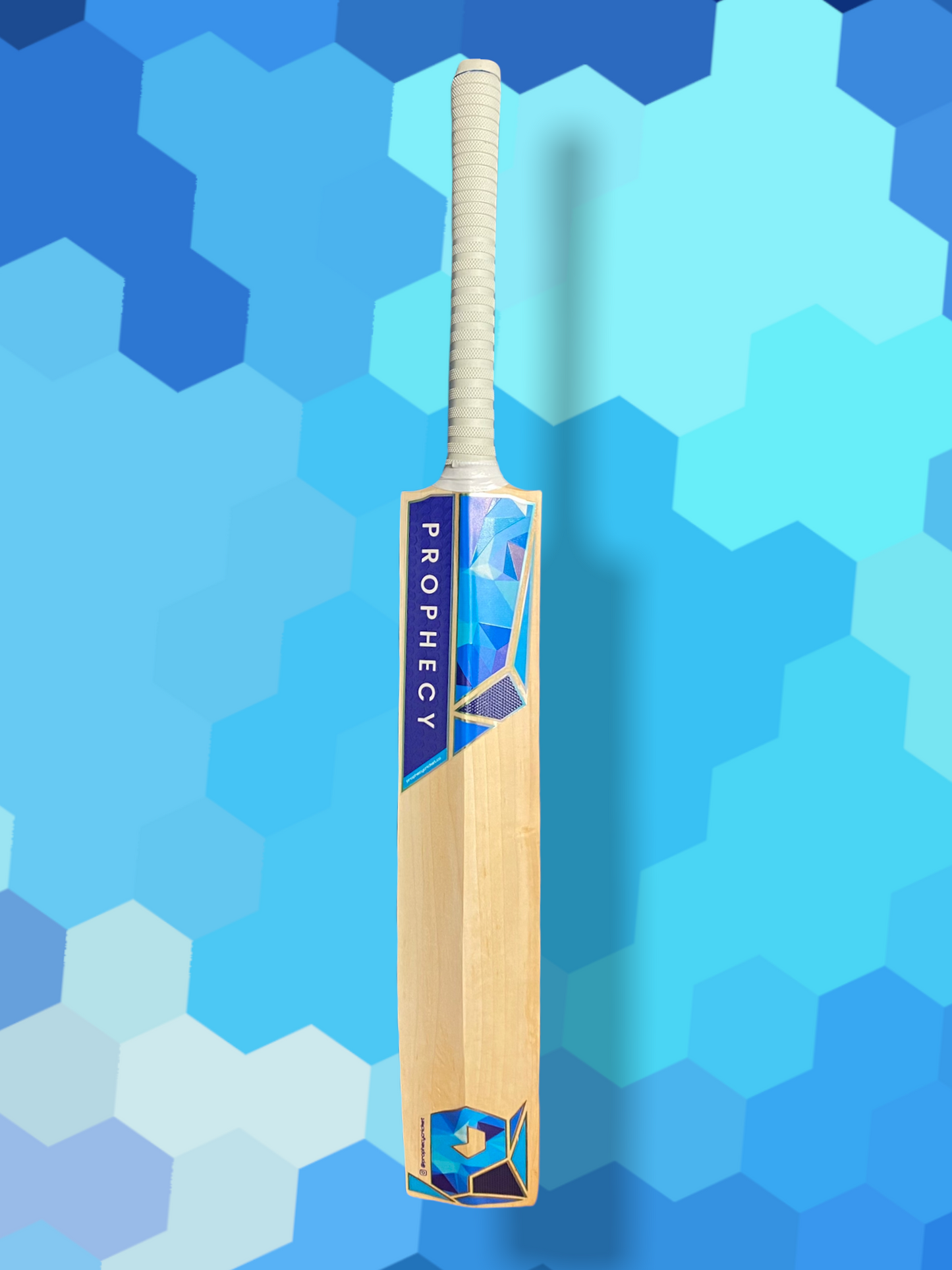 Junior Prophecy Vision Cricket Bat