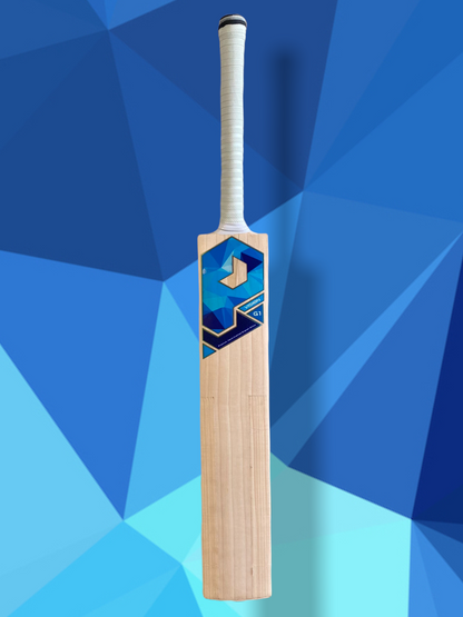 Prophecy Vision Cricket Bat