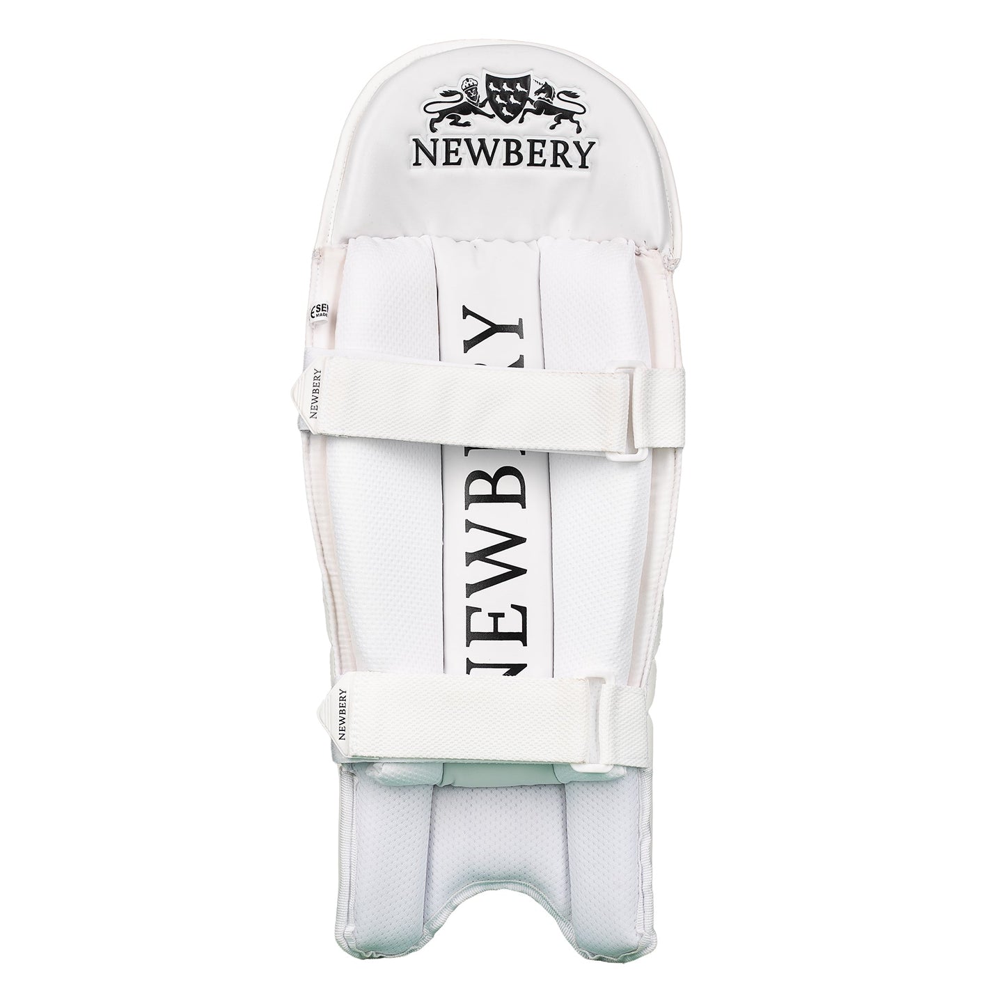 Pro Wicket-Keeping Pads