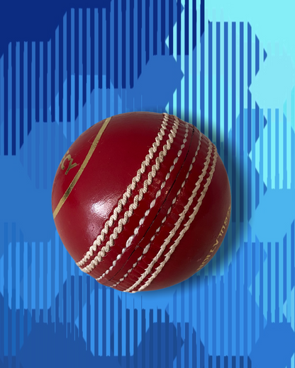 Prophecy grade B cricket match ball