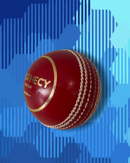 Prophecy grade B cricket match ball