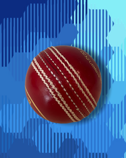 Prophecy grade B cricket match ball