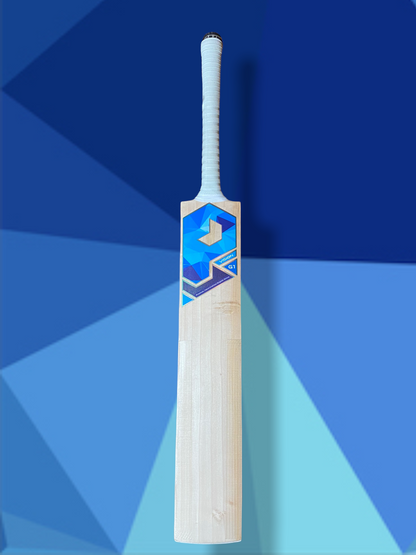 Prophecy Vision Cricket Bat