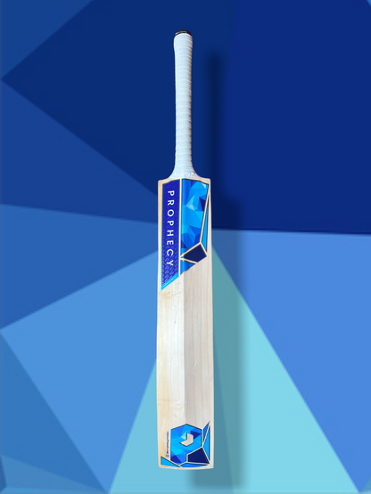 Prophecy Vision Cricket Bat