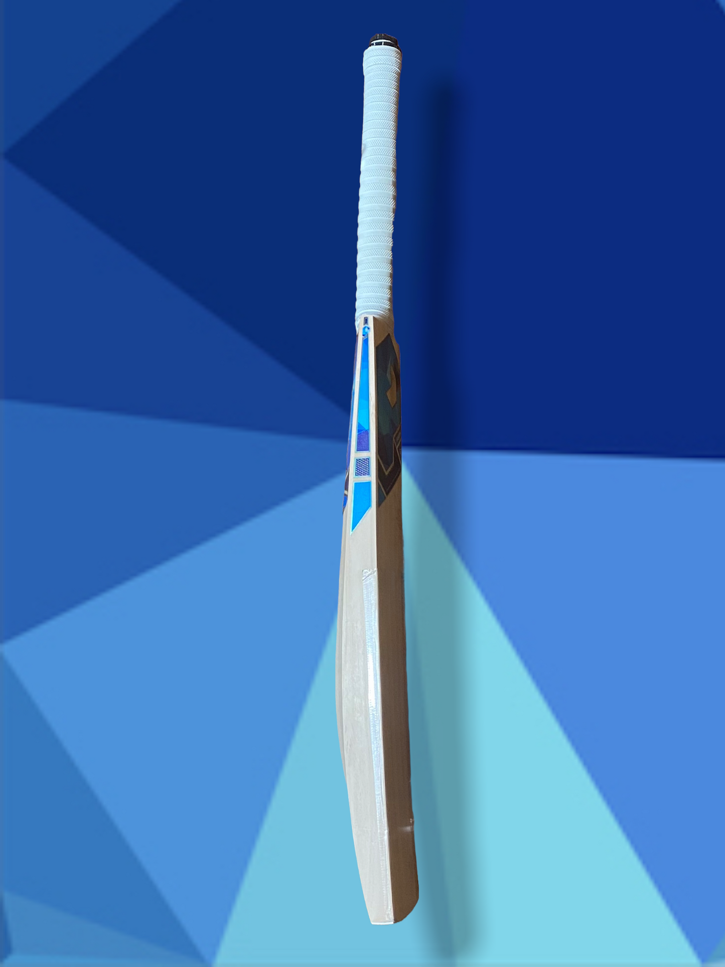 Prophecy Vision Cricket Bat