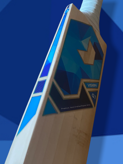 Prophecy Vision Cricket Bat