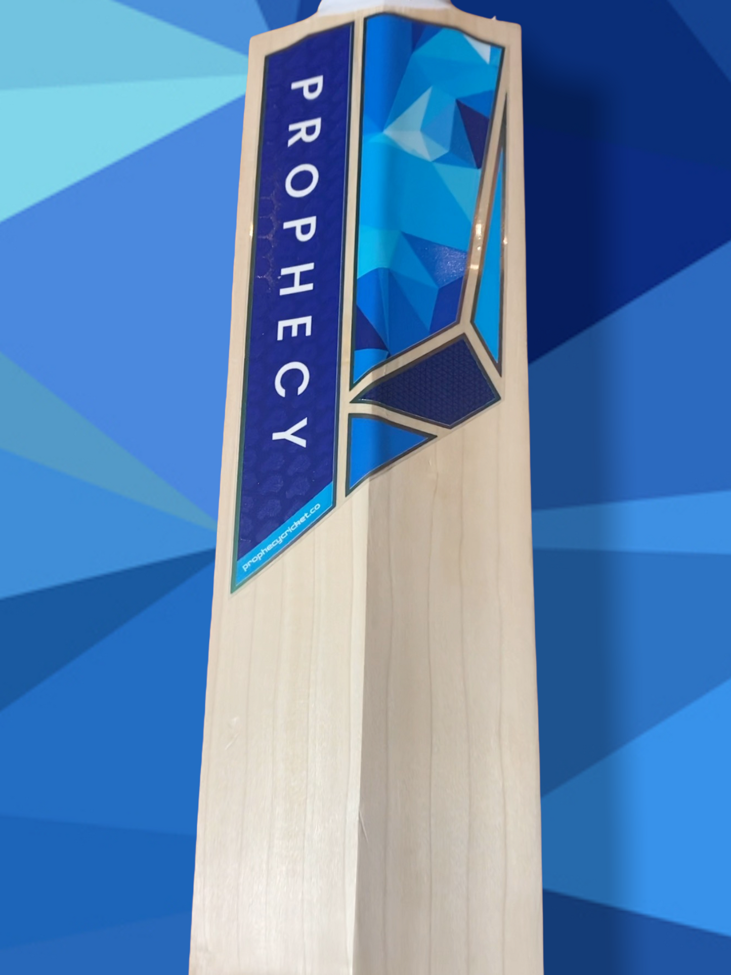 Prophecy Vision Cricket Bat