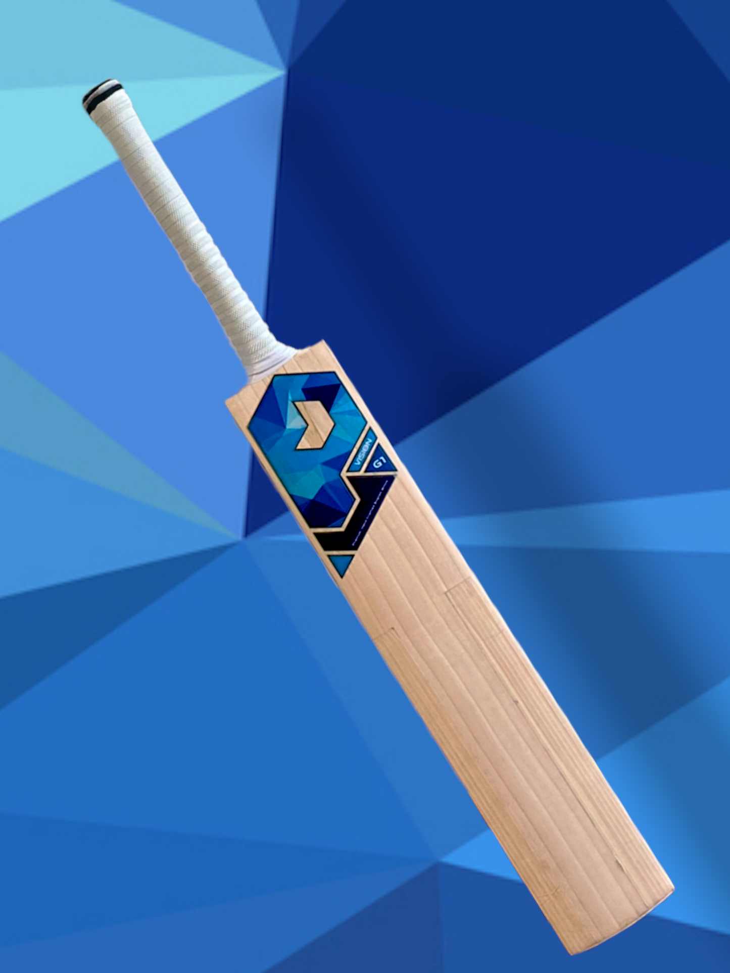 Prophecy Vision Cricket Bat