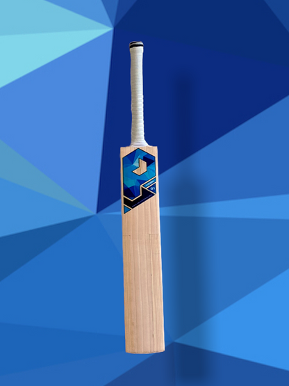 Prophecy Vision Cricket Bat