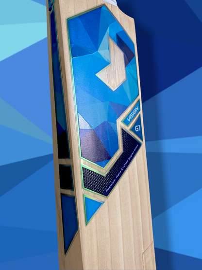 Prophecy Vision Cricket Bat