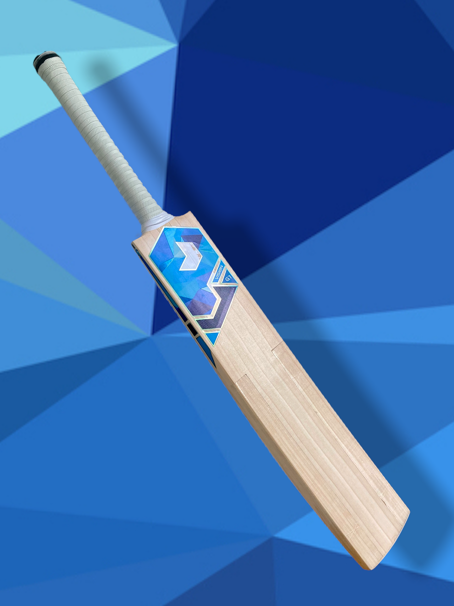 Prophecy Vision Cricket Bat