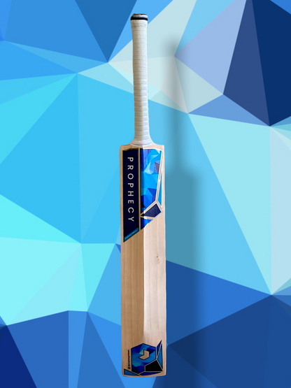 Prophecy Vision Cricket Bat