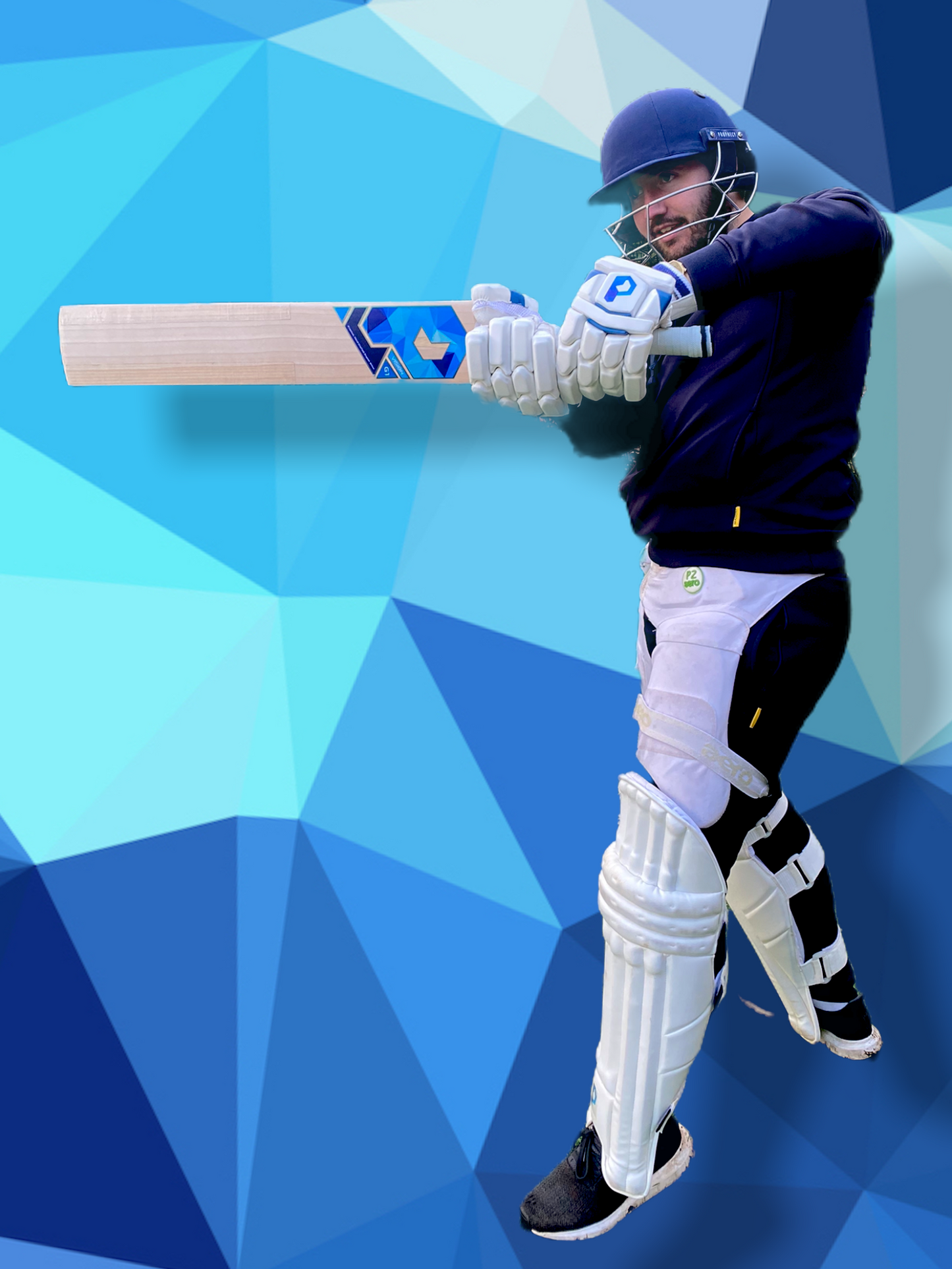 Prophecy Vision Cricket Bat