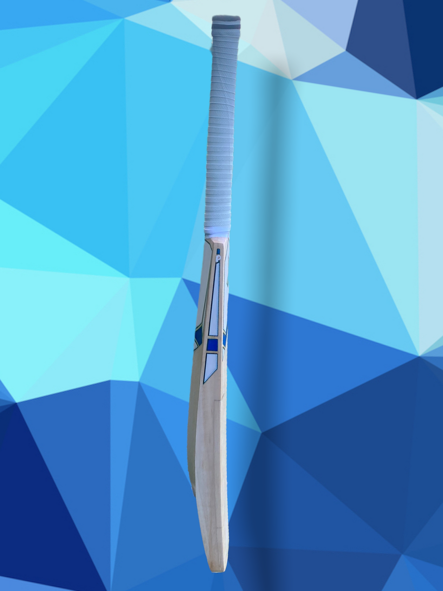 Prophecy Omen Cricket Bat