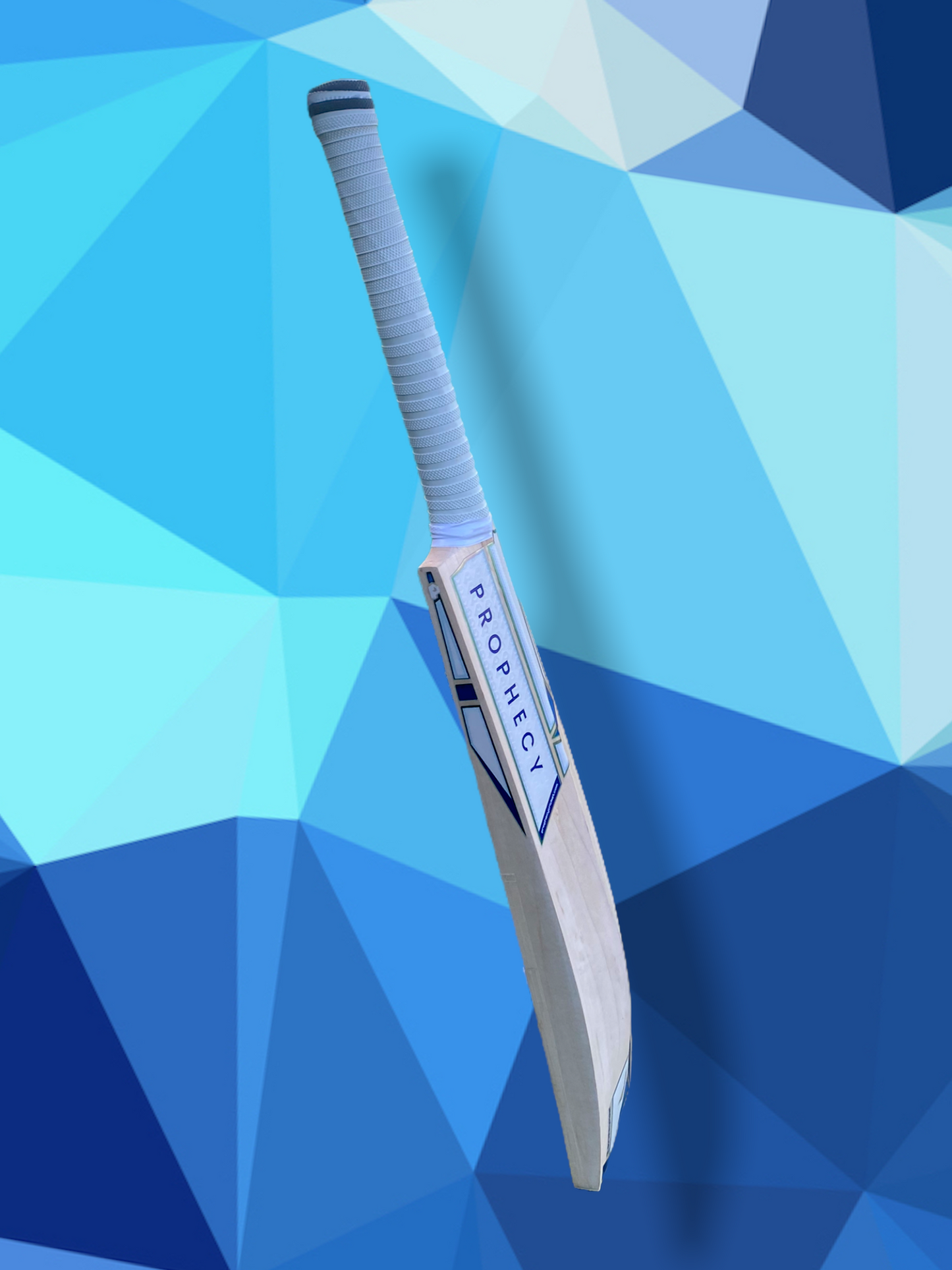 Prophecy Omen Cricket Bat