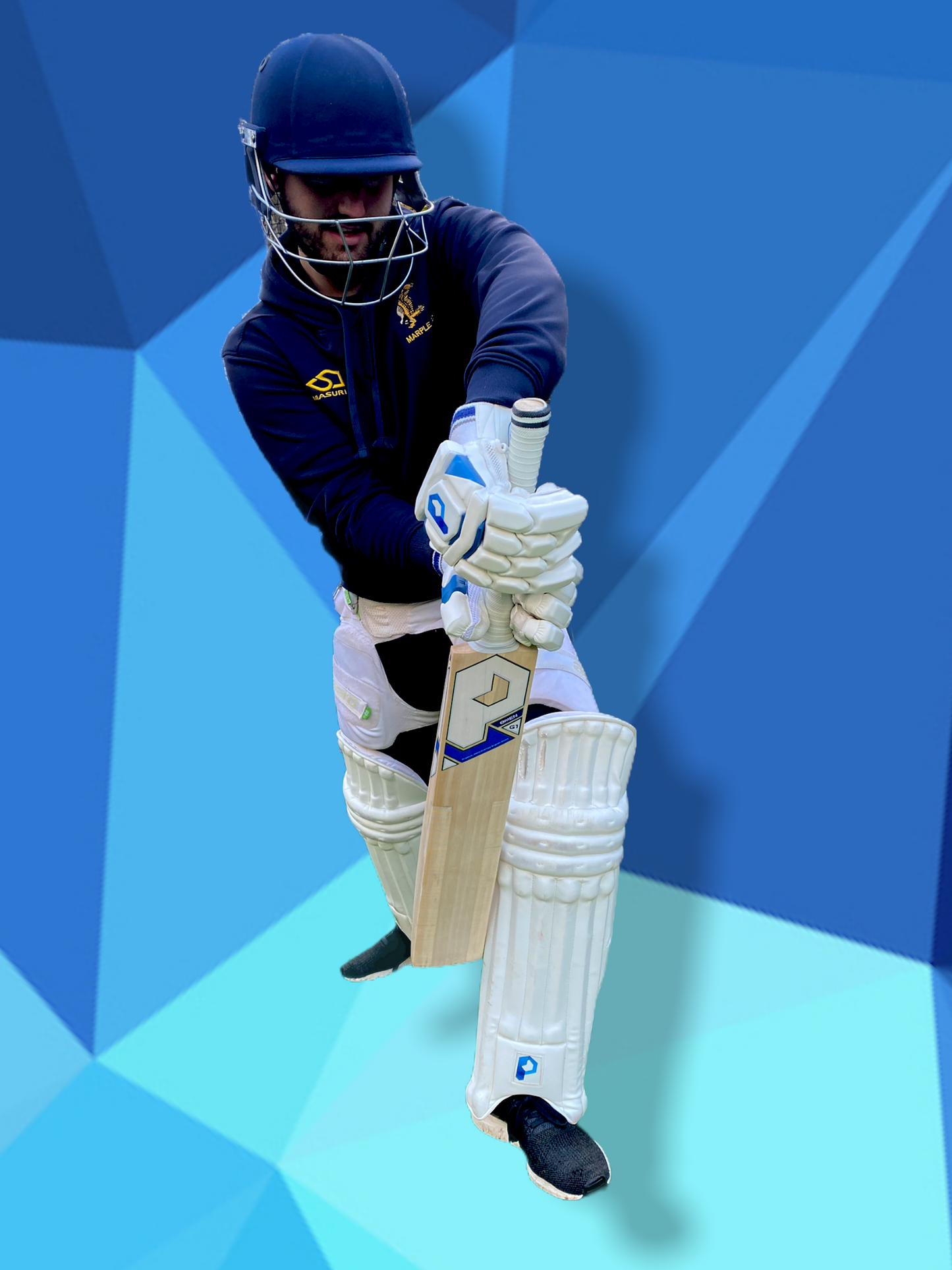 Prophecy Omen Cricket Bat