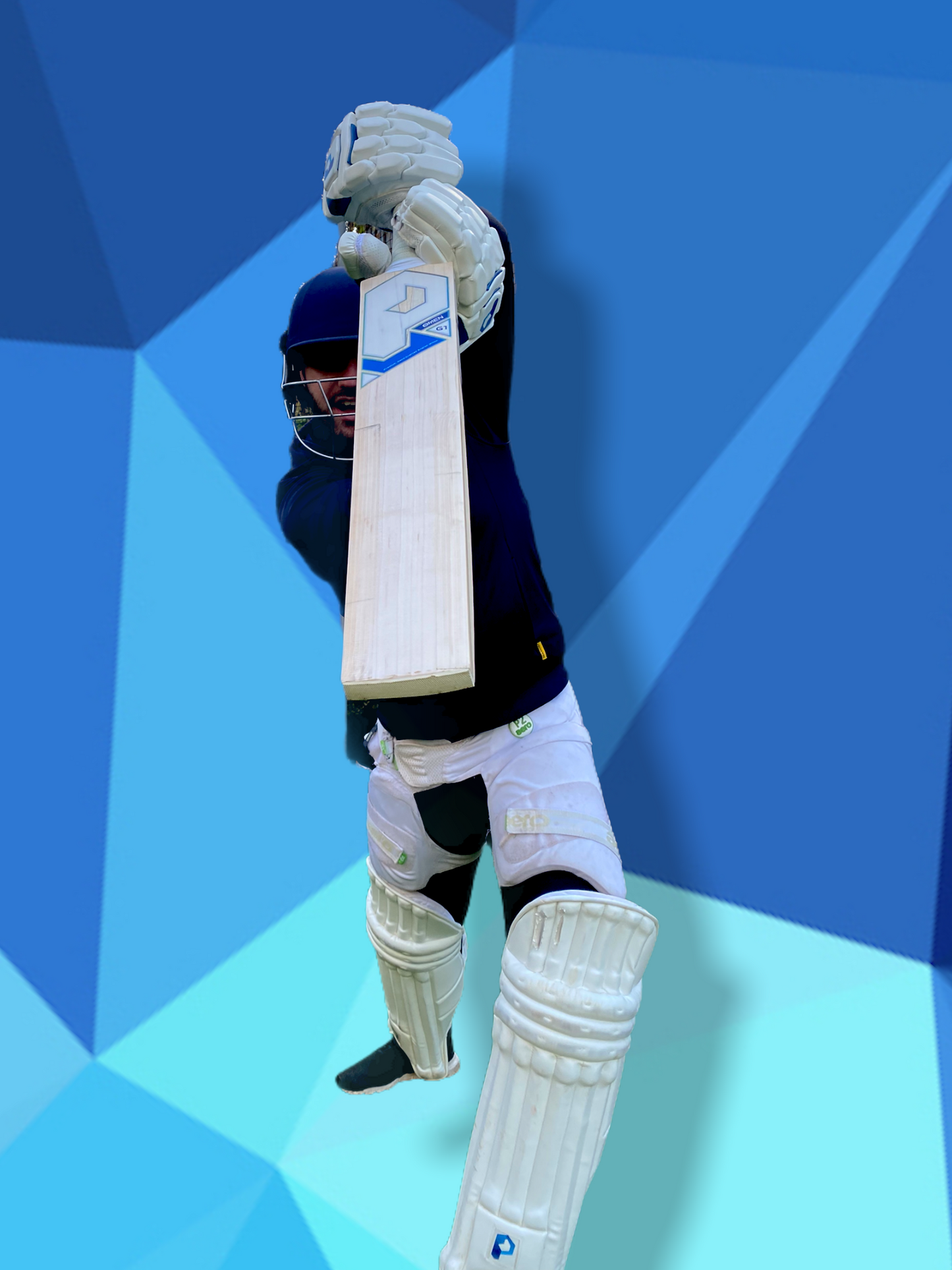 Prophecy Omen Cricket Bat