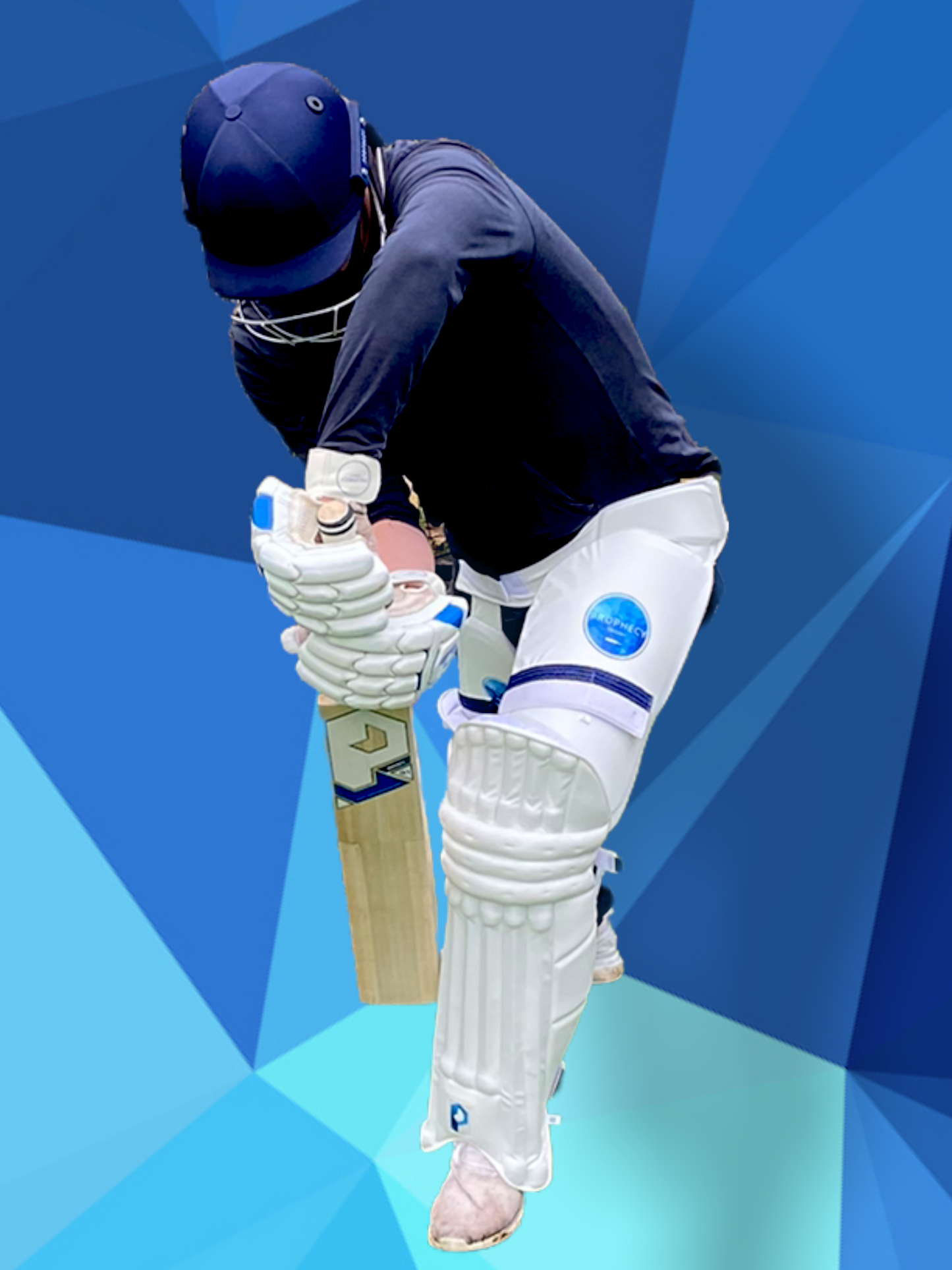 Prophecy Omen Cricket Bat