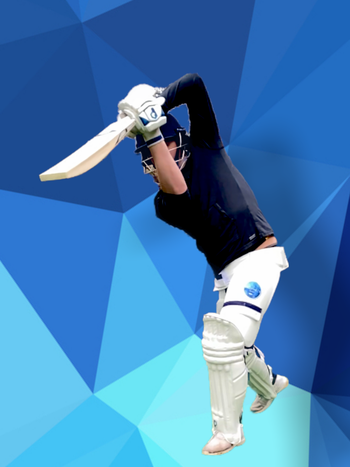 Prophecy Omen Cricket Bat