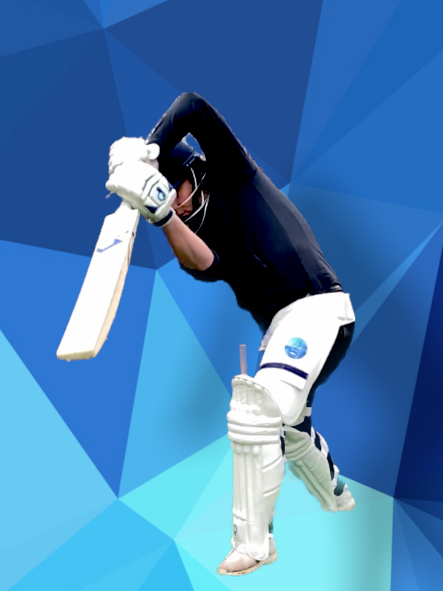 Prophecy Omen Cricket Bat