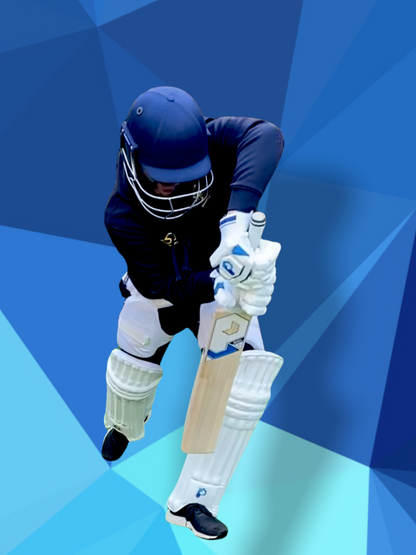Prophecy Omen Cricket Bat