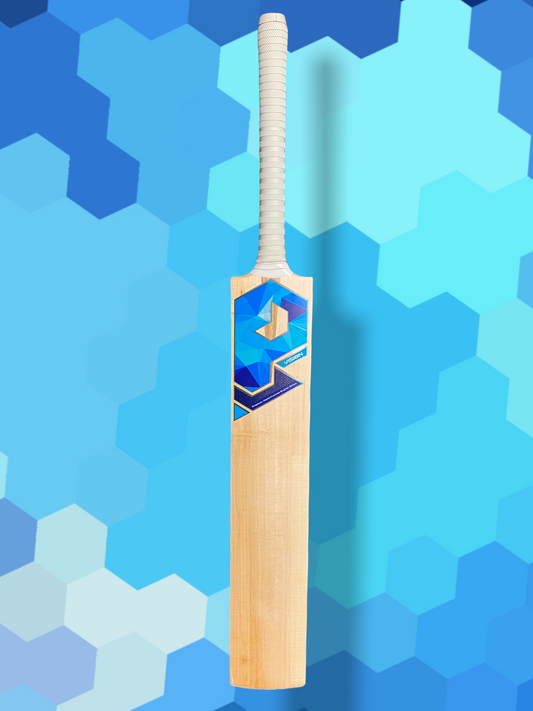 Junior Prophecy Vision Cricket Bat
