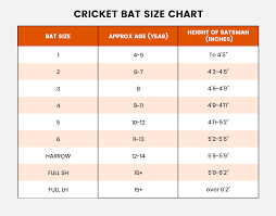 Junior Prophecy Pyro Cricket Bat