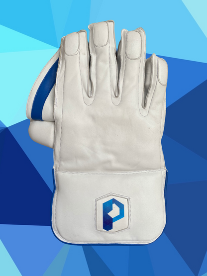 Prophecy Wicket Keeping Gloves