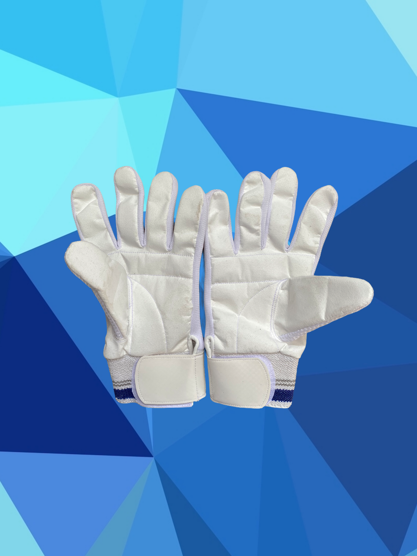 Prophecy Wicket Keeping Inners