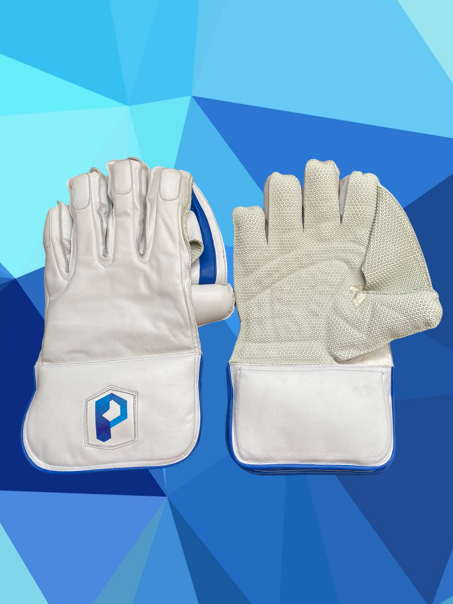 Prophecy Wicket Keeping Gloves