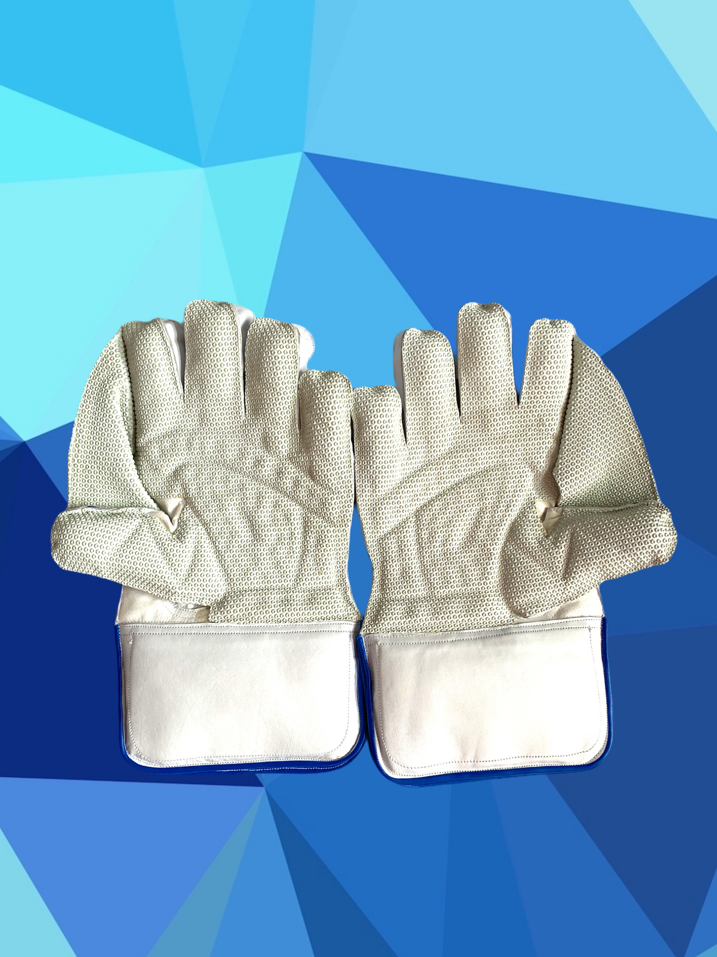 Prophecy Wicket Keeping Gloves