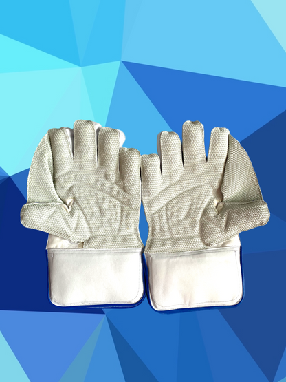 Prophecy Wicket Keeping Gloves