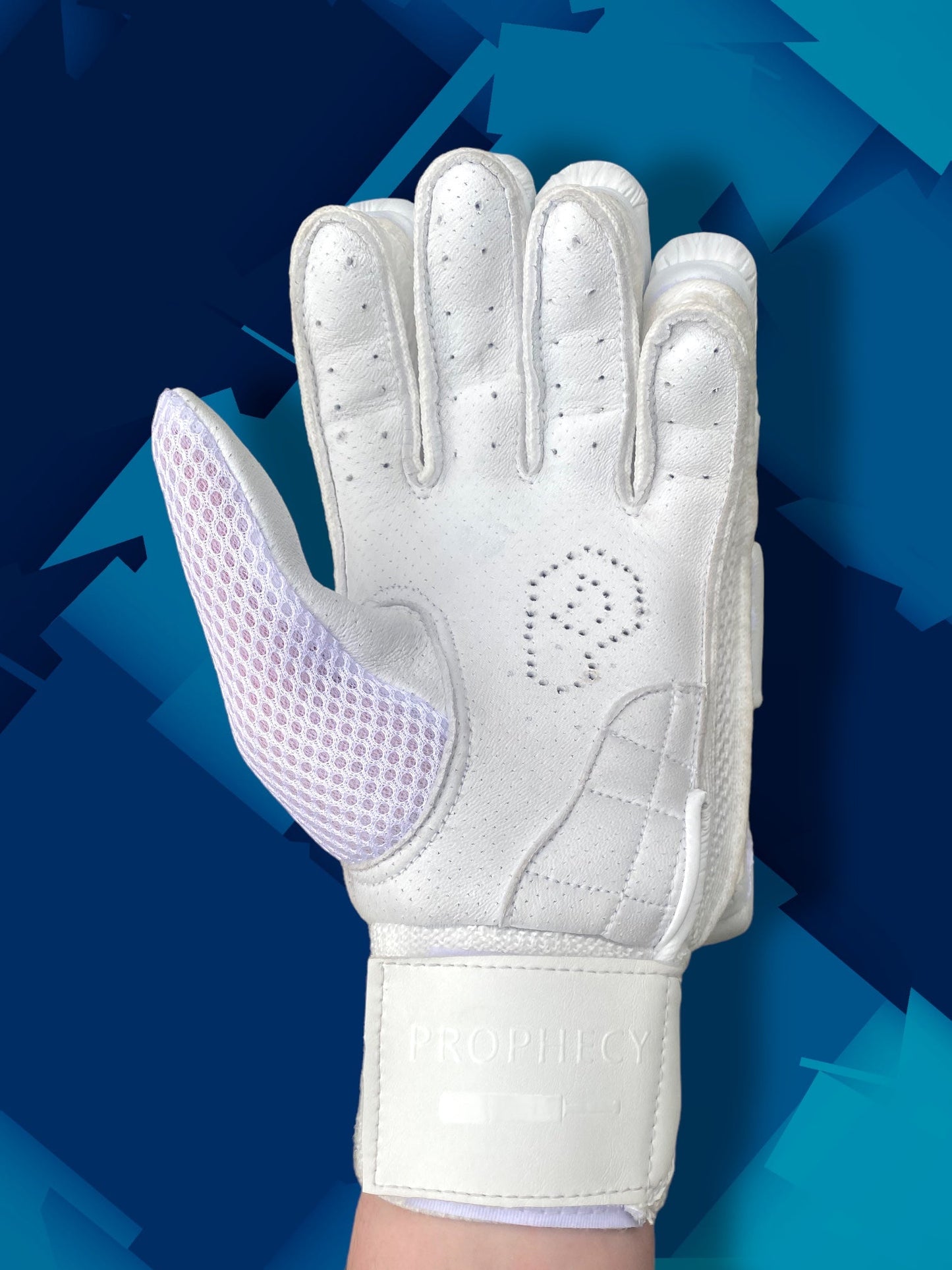 Prophecy Batting Gloves