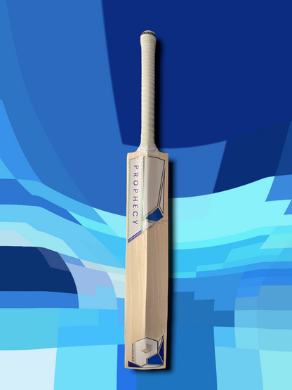 Prophecy Omen Cricket Bat