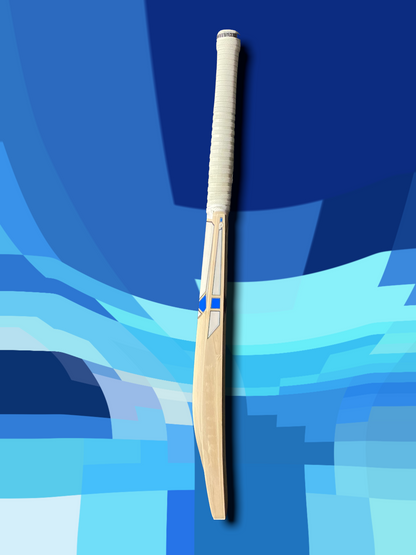 Prophecy Omen Cricket Bat