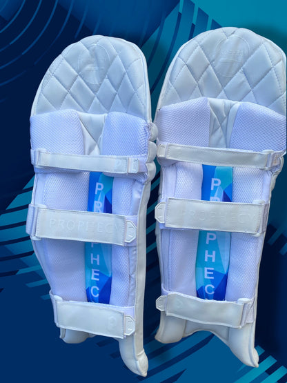 Prophecy Batting Pads