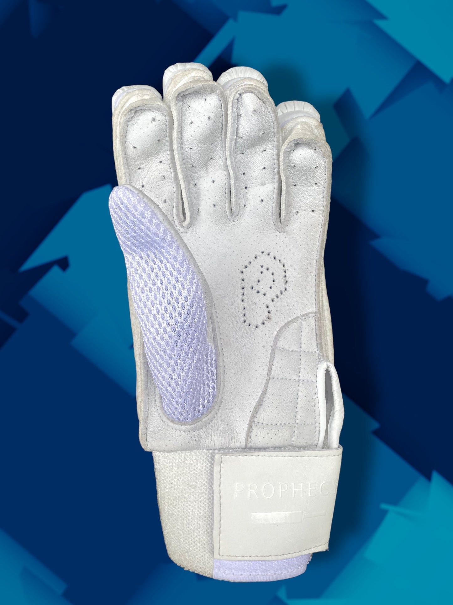 Prophecy Batting Gloves